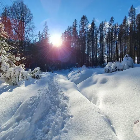 Beste Lage Braunlage Exterior photo